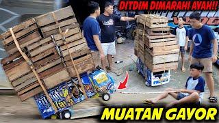 DI MARAHIN AYAH!! DITDIM TERLANJUR MUATAN GAYOR UNTUK BAHAN KERAJINAN..