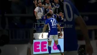 Genau vor einem Jahr haben wir gegen St. Pauli den direkten Wiederaufstieg geschafft #s04 #s04stp