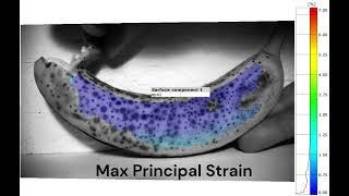 Digital Image Correlation (DIC) Strain Fields Peeling a Banana