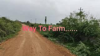 Way To Farm || Villagers Life || Lamba Gujarat