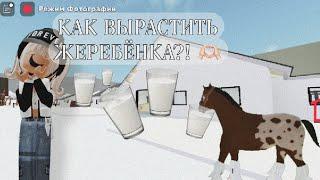 3 СПОСОБА КАК ВЫРАСТИТЬ ЖЕРЕБЁНКА?! | Mineralka Horse Valley