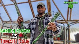 Tomato cage Vs Garden Stakes | Which is Better | For Beginners | #Greentgarden |