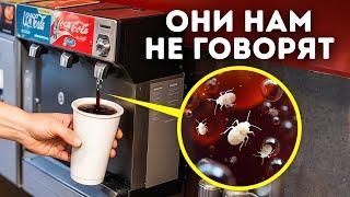 100+ мелких фактов обо всем, которые сделают вас умнее