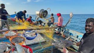 Amazing !!! We Caught Lot of Variety Fishes in Deep Sea Fishing