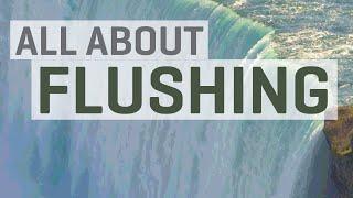 All About Flushing (Leaching) with Hydroponics