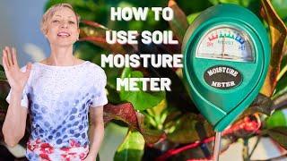 How To Use Soil Moisture Meter To Avoid Over & Under Watering - Houseplant Care Tips