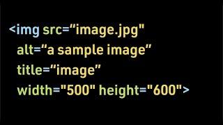 Coding for Beginners: Website Images #2— The Width and Height Attributes for the Image Element