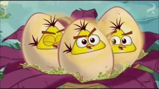 ЗЛЫЕ ПТИЧКИ   Angry Birds   Энгри Бердс   мультфильм   Все серии подряд   1 с   ч 1   мультик