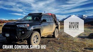 Taylor River Fly Fishing and Off Roading! (Crawl Control Saved Us In The Mountains!)