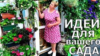 Горшечный садик, подставки и макраме- вкусные изюминки моего сада