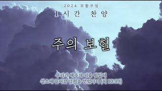2024 부활주일: 주의 보혈 (거친 주의 십자가) || 1시간 찬양 / 1 Hour Worship Piano