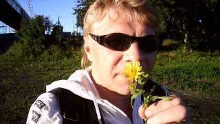 Реальный берег речки"Тюмень зареченские мотивы"!-Петр Малюгин!