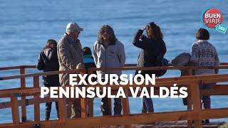 EXCURSIÓN PENÍNSULA VALDÉS y PUERTO PIRÁMIDES  PUERTO MADRYN