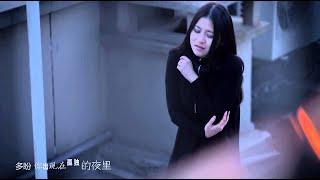 【HD】尚芸菲-想你MV [Official Music Video]官方完整版