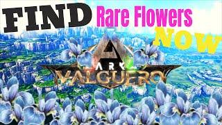 RARE FLOWERS Valguero + Rare Mushrooms GET LOTS! Best Easy LOCATIONS