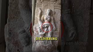 Ancient Carving Shows Test Tube Baby? 