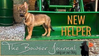 DIY IBC Tote Chick Brooder