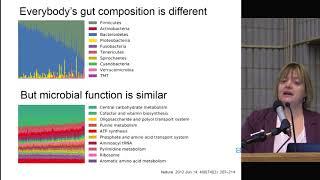 Bugs as drugs: modifying the human gut microbiome with ‘microbial ecosystem therapeutics’