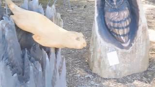 McKenzie River Chainsaw Festival ! (2)