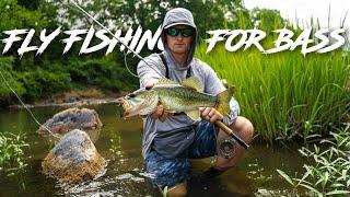 FLY FISHING for BASS in HIDDEN RIVER POOLS