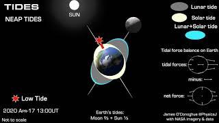 How lunar and solar tides work