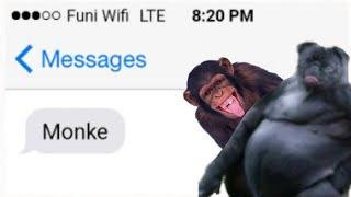 Embrace Monke