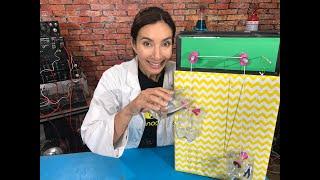 S9E5: Make your own Super Pulleys! | Nanogirl's Lab | STEM activates for kids