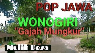 POP JAWA - WONOGIRI GAJAH MUNGKUR - CAMPURSARI KOPLO - MULIH DESA - CAMPURSARI VIRAL