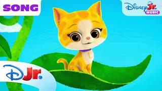 SuperKitties "It Starts with a Seed" Song  | @disneyjr