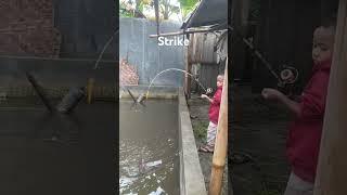 Strike babon #shorts #fishing #mancing #spot #joran #fish #subscribe #fyp #trending