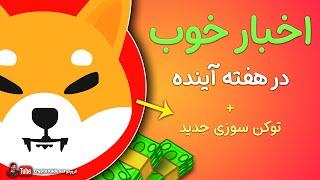 شیبا اینو پرسود ترین توکن یک سال اخیر / لیست شدن در صرافی جدید / روش جدید توکن سوزی توکن شیبا