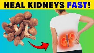 MUST EAT! Top 6 Best Foods to Improve kidney Function