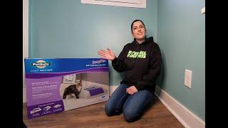 I Bought and Tested the PetSafe ScoopFree Litter Box. Here's What I Thought!