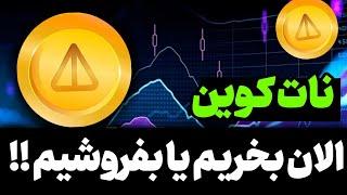 تحلیل نات کوین |  NOT همچنان ریزشی مهم حمایت کجاست؟ چه کنیم تحلیل تون کوین و ناتکوین