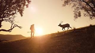 First to get a sambar stag | rifle VS bow hunter | Victorian High Country hunt