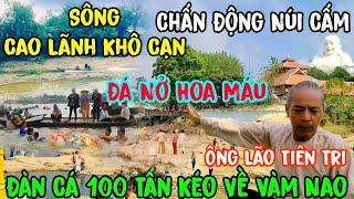 Sông Cao Lãnh Khô Cạn Đàn Cá Kéo Về Vàm Nao Nổi Cồn Hồ Thủy Liêm Núi Cấm Cực Căng | Đỗ Hoài Thương