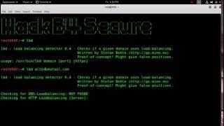 Kali Linux Tools - Information Gathering -- lbd tool