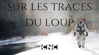 SUR LES TRACES DU LOUP - Le film