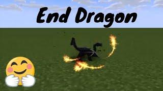 Minecraft Dragon Animation |Phoenix Studio