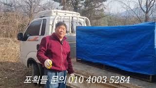 보급형 포획틀 에성탄절날 잡힌 멧돼지 (문의 010 4003 5284)