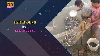 Agriculture Programme | Fish Farming at KVK Thoubal