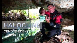 [CAVE DIVING] CENOTE EDEN HALOCLINE and CAVE DIVING MENTAL