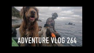 Josh James Kiwi Bushman Adventure freediving hunting VLOG 264 - f___ em darryl and other such stuff