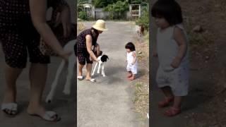 Maria leticia  playing with kid