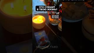 Что спешит в твою жизнь? Что на пороге? Таро перемены! Твое будущее️ #таро #мысли #таролог