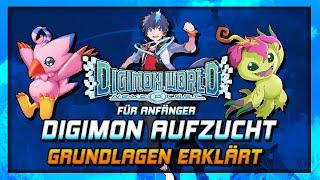 Aufzucht für Anfänger | Digimon World: Next Order Guide