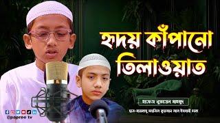 হৃদয় কাঁপানো তিলাওয়াত || মারকাযু ফয়জিল কুরআন || Hafez Nufail Mahmood || Papree Tv Holy Quran