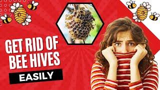 How To Get Rid Of Bee Hives At Home??Easy Steps to Remove Bee Hives Safely