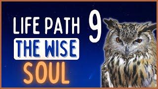 Life Path 9 | Personality SECRETS About “The Wise Soul!”  | Chasing Solana ️