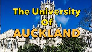 Driving Around The University of Auckland | New Zealand 